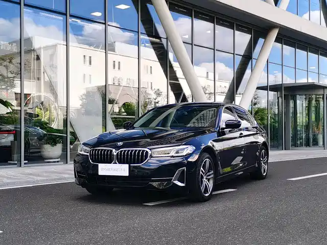 BMW 5 530Li, Лидер, Люкс-пакет