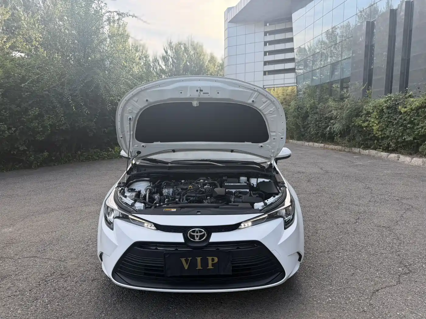Toyota Levin, миниатюра 12