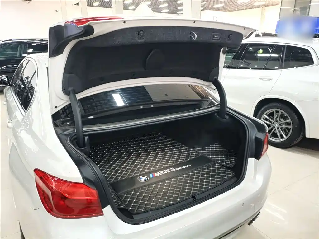 BMW 5 Series New Energy 2020 530Le Range Upgrade Pioneer Edition фото 16