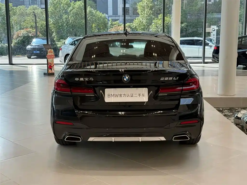 BMW 5 Series, миниатюра 16