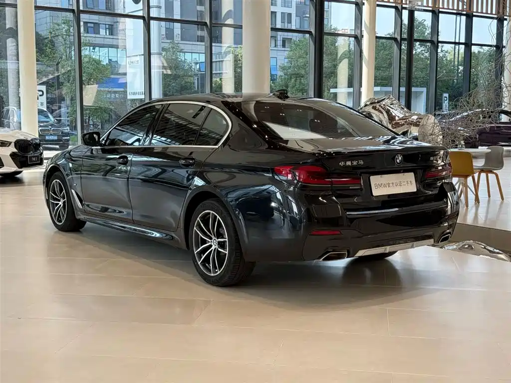 BMW 5 Series, миниатюра 11