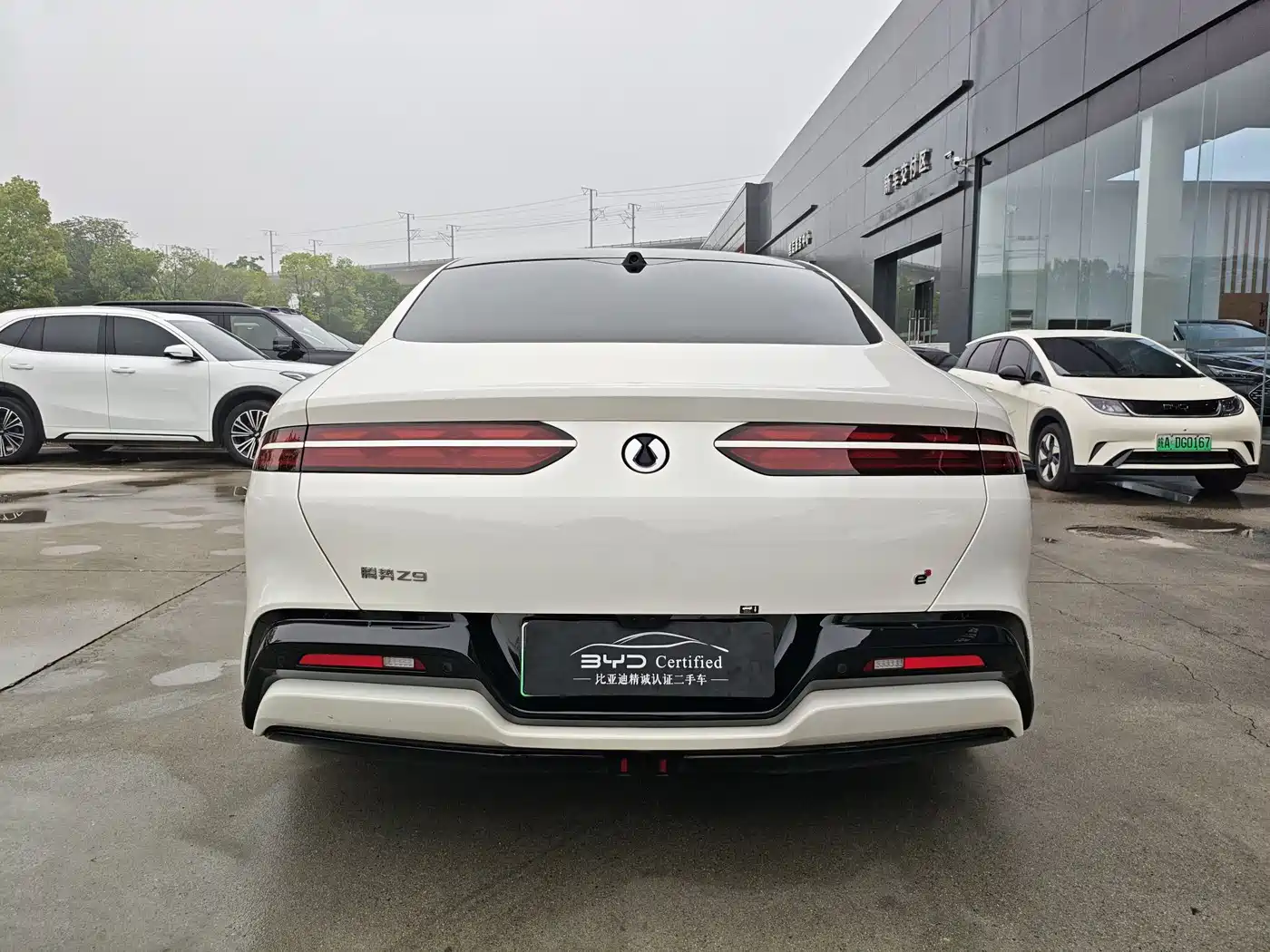 Denza Z9 2024 Model 1100km AWD Max Edition фото 10