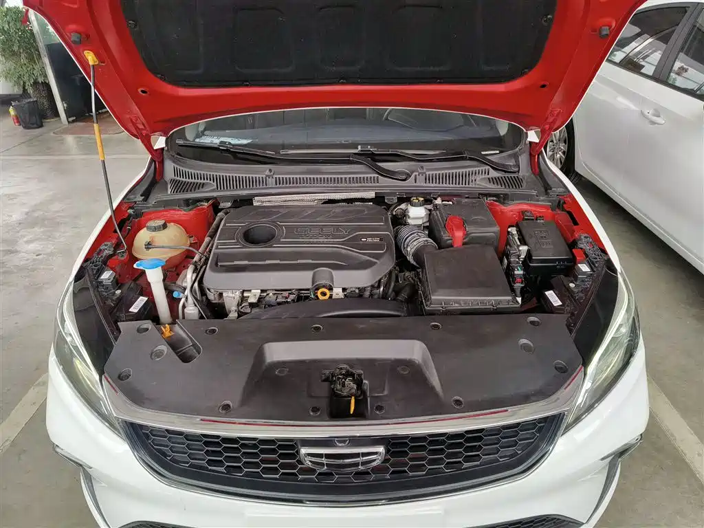 Фото 9 - Geely Binrui