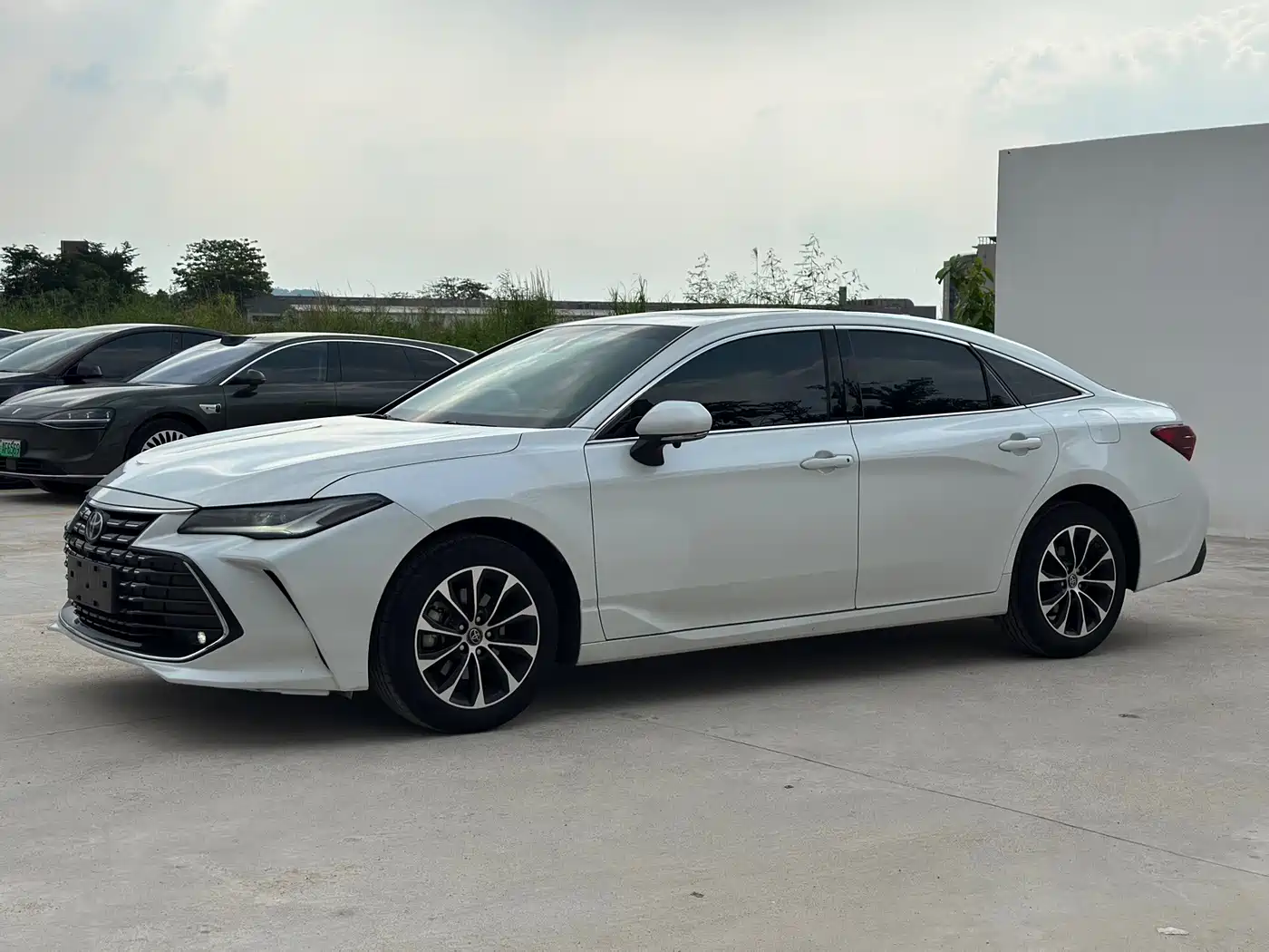 TOYOTA ASIAN DRAGON