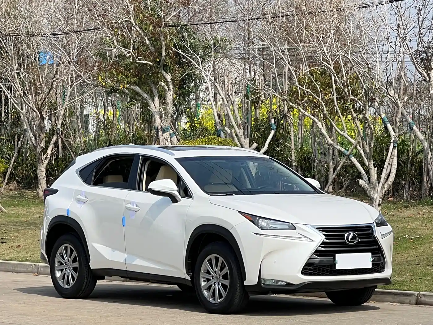 LEXUS NX