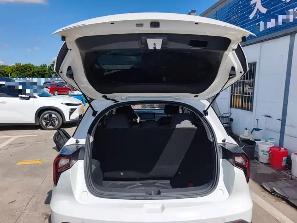 Geely Geometry E Firefly 2025 2024 Model 401km Fluorescent