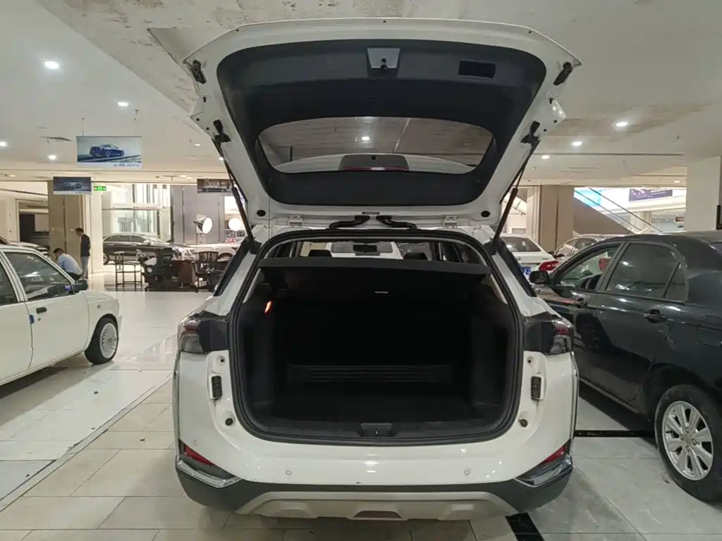 Dongfeng Aeolus Yixuan GS 2021 2020 230T Auto Yuemu Edition