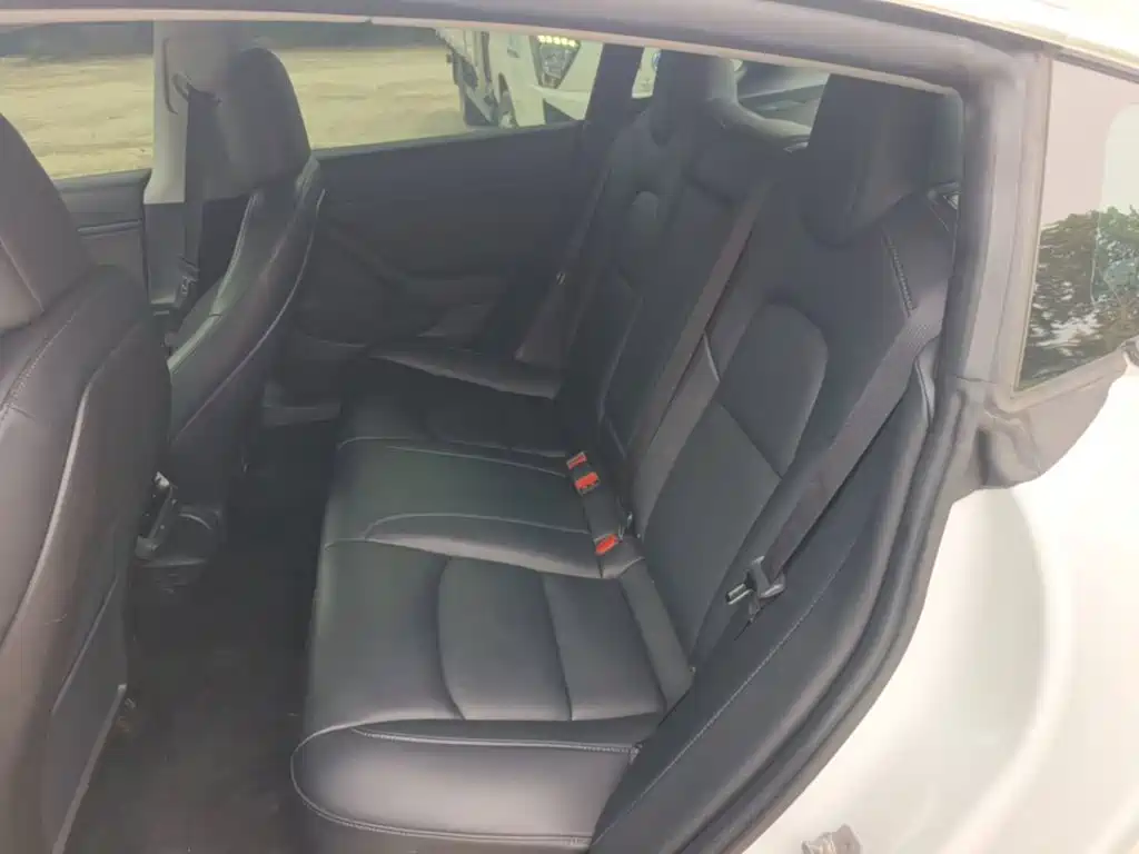 Tesla Model 3 (Import) 2019 2019 Performance High-Efficiency All-Wheel Drive Version
