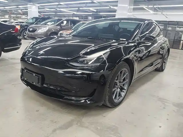 Tesla Model 3 Стандартный запас хода, задний привод, улучшенная, 3D6