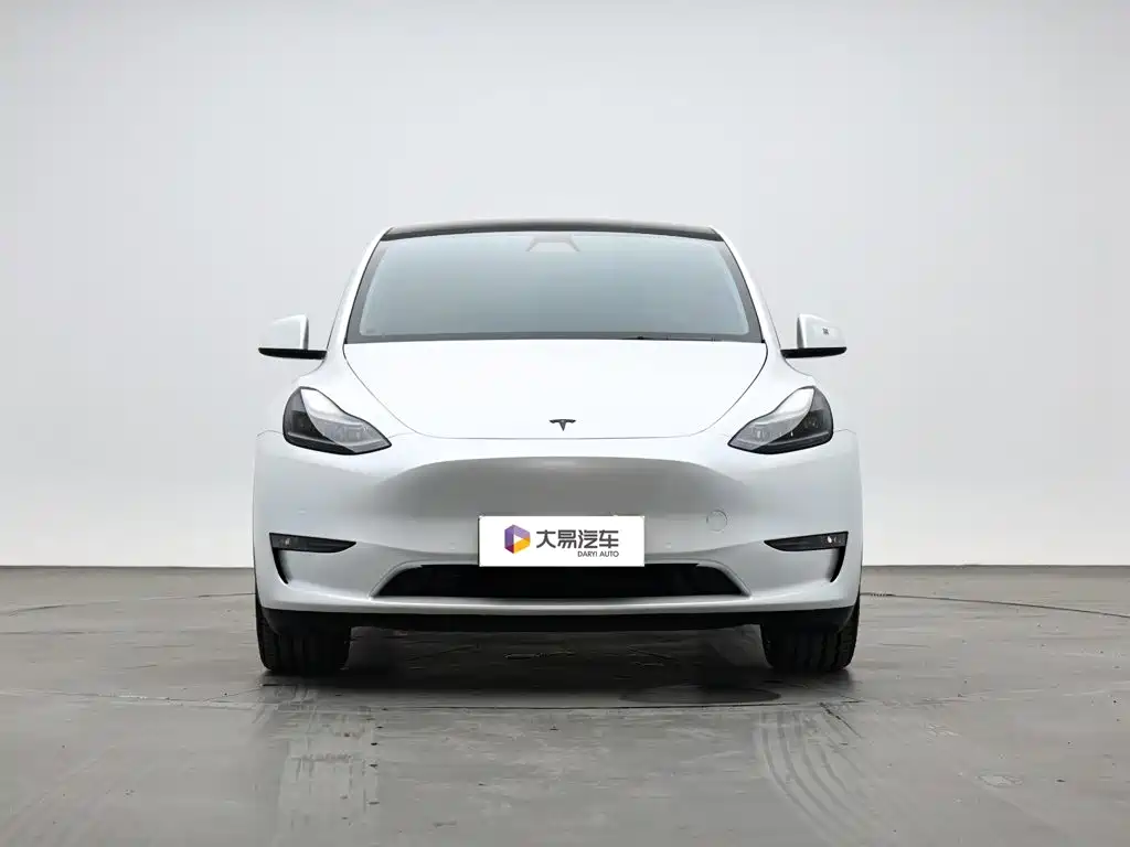 Tesla Model Y 2021 2021 Long Range All-Wheel Drive 3D7