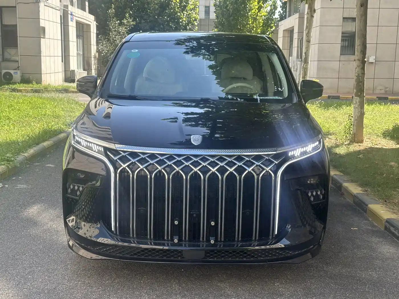 Dongfeng Fengxing Starlight V9 2026 2024 1.5TD 200km Chinese Knot Series Exclusive