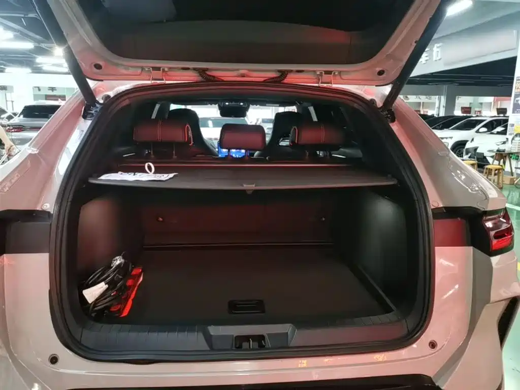BYD Song PLUS PHEV 2023 Champion Edition DM-i 150KM Flagship PLUS фото 19