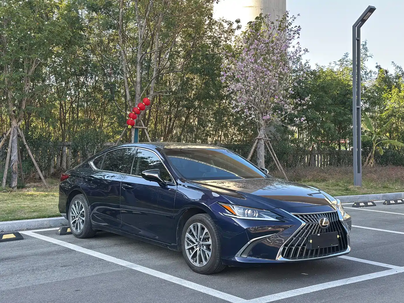 Lexus ES 2020 200 Excellence фото 3