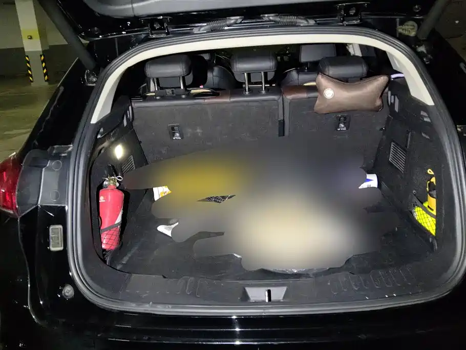 WEI PAI WEI BRAND VV5