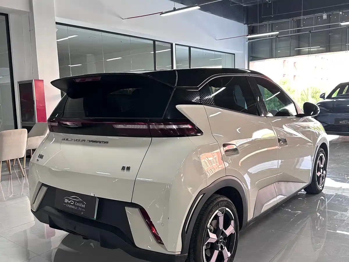 BYD Seagull 2023 Vitality Edition фото 12