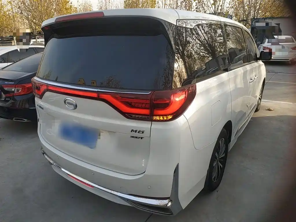 GAC Trumpchi Trumpchi M8 2021 Leading Show Series 390T Premium Edition фото 22