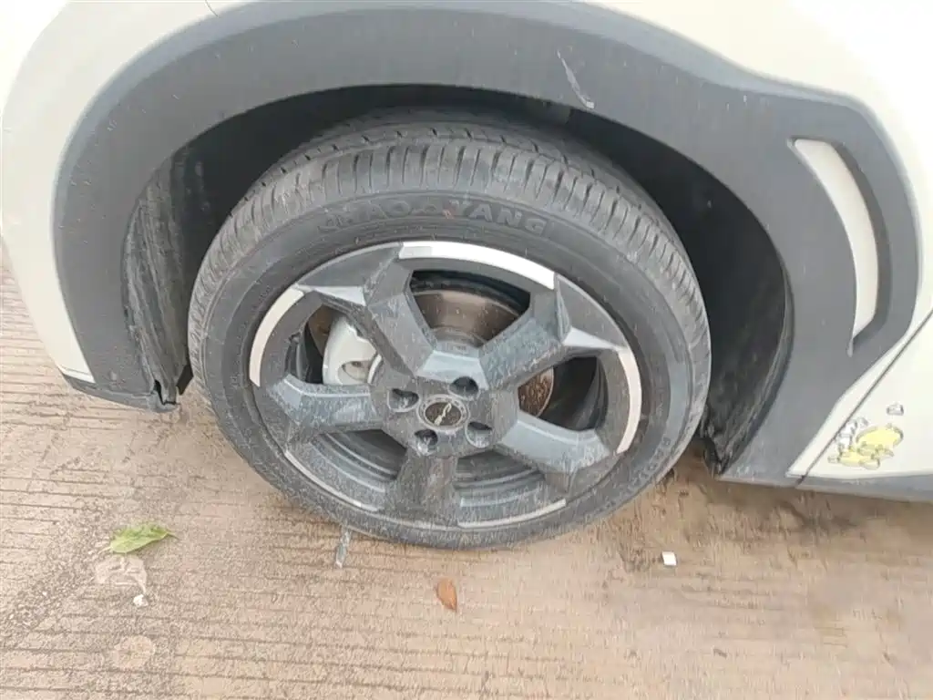 BYD Seagull 2024 Glory Edition 305km Freedom Edition фото 23