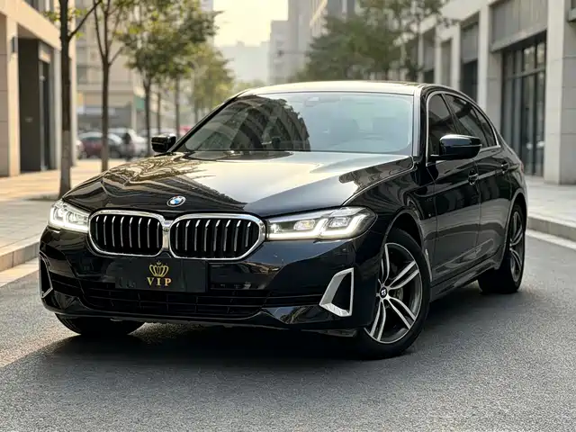 BMW 5 530Li, Лидер, Люкс-пакет