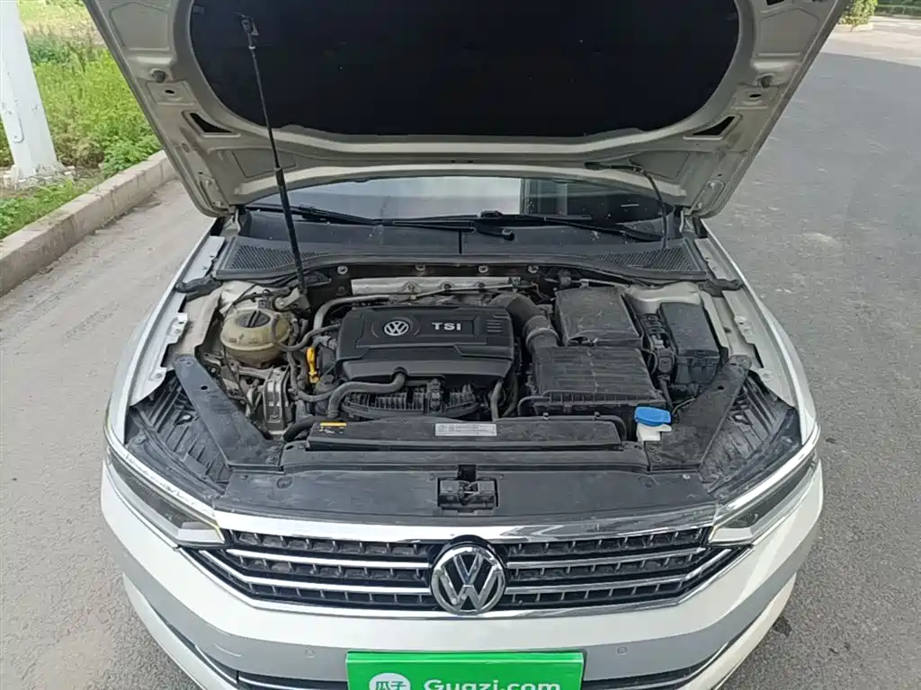Volkswagen Magotan 2017 330TSI DSG Leading фото 20