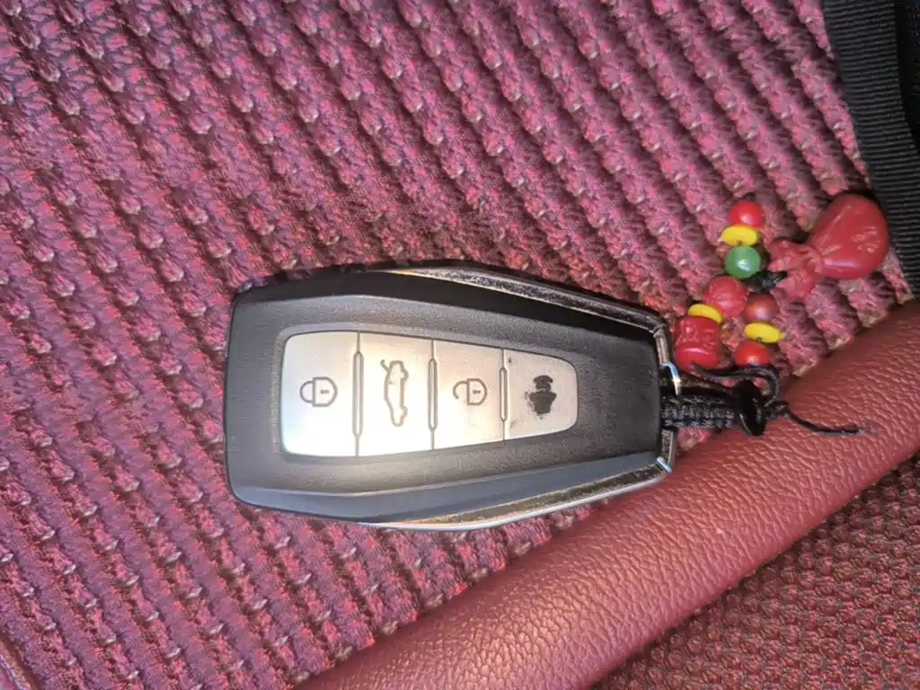 Geely Geometry E Firefly 2024 2024 Model 301km Light Flow