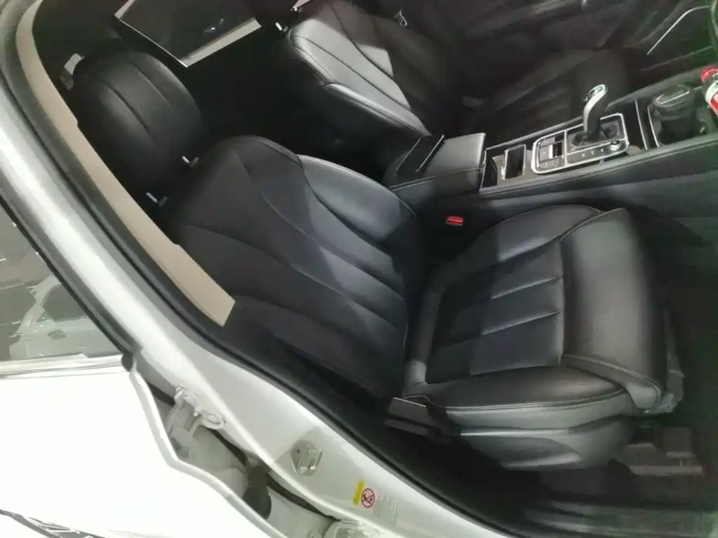 BYD Song MAX 2020 2019 1.5T Auto Smart Connected Sunroof 6-seater China VI