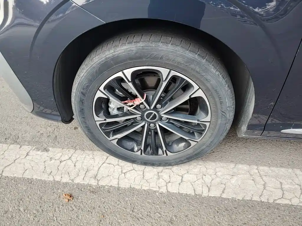 Roewe iMAX8 2021 2022 400TGI Flagship