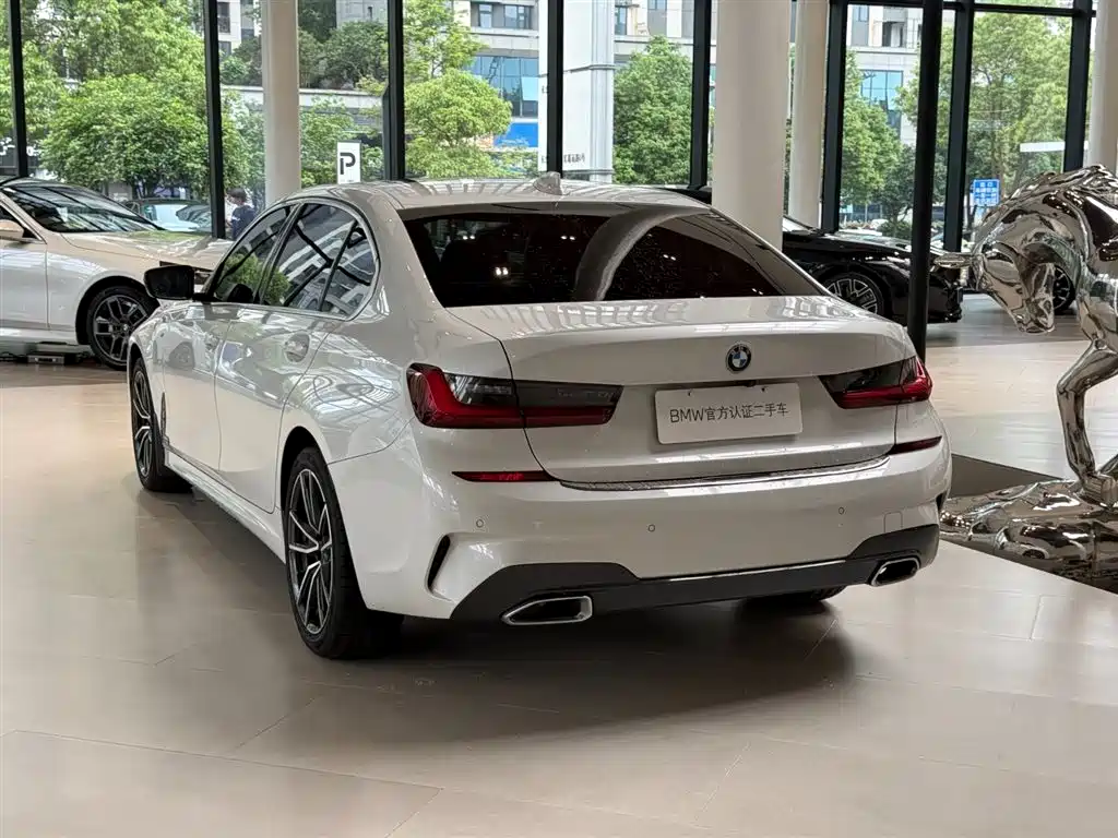 BMW 3 Series 2022 320Li M Sport Package фото 8