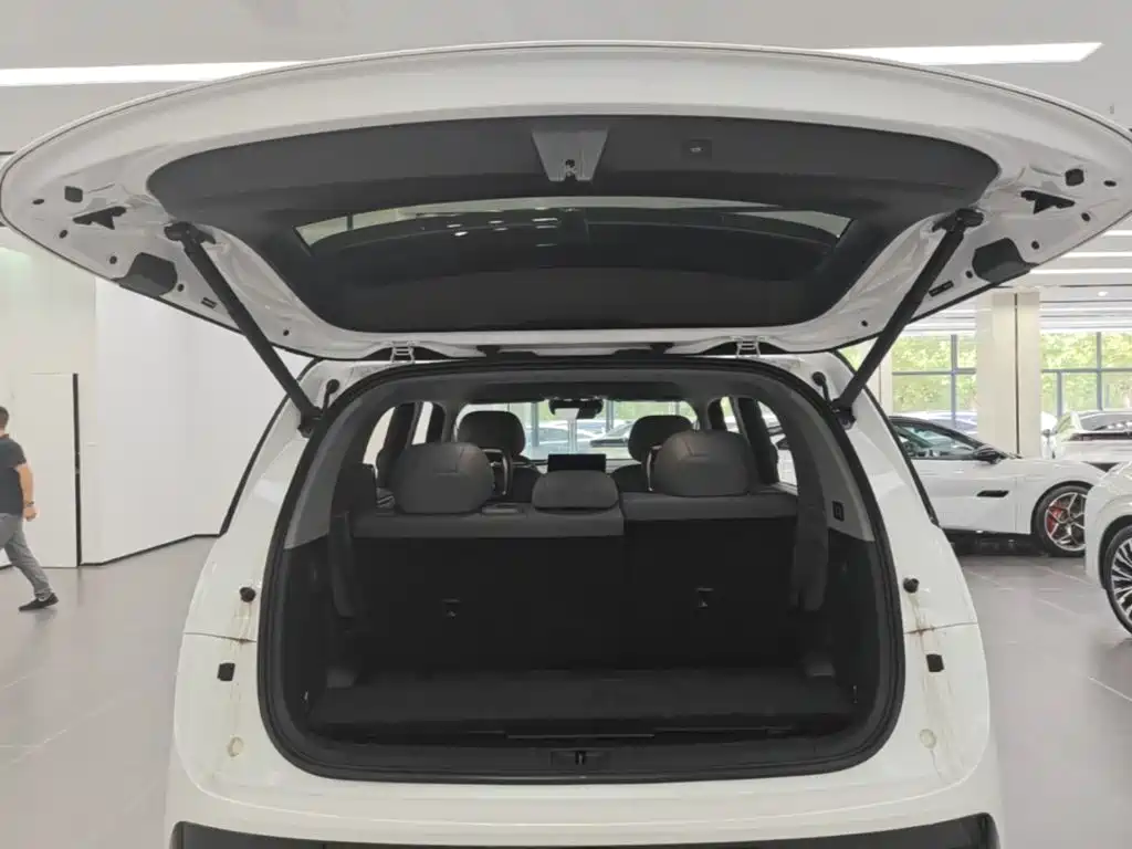 ZEEKR MIX 2026 2025 Smart Driving Edition