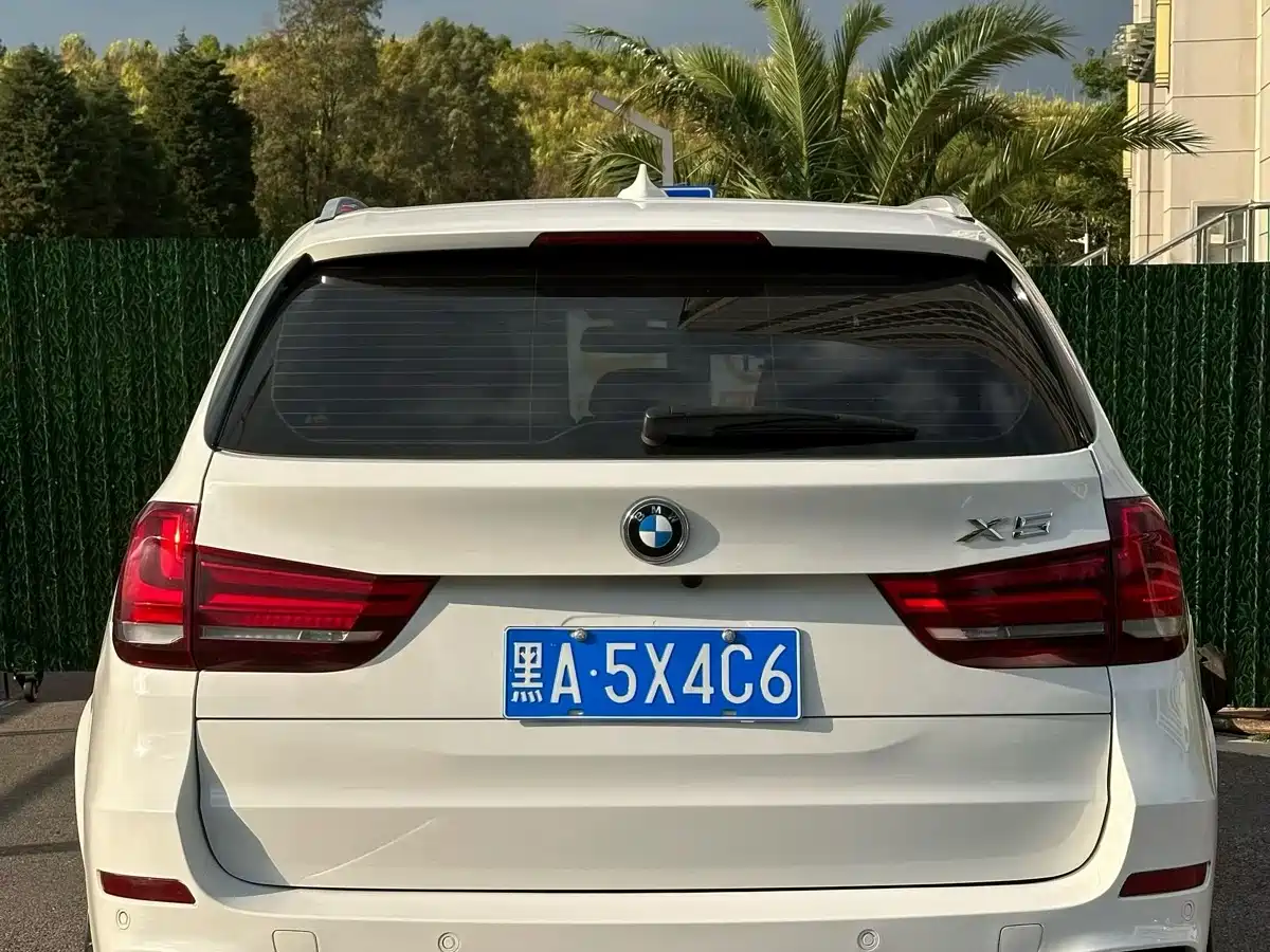BMW X5 (Import) 2018 xDrive35i Premium Model фото 8