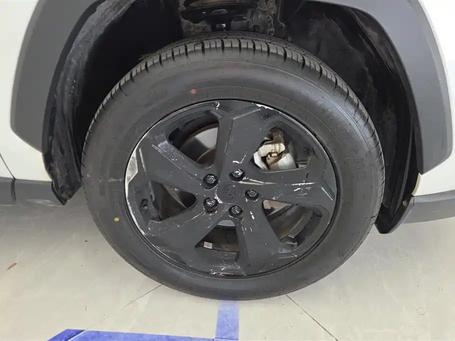 Toyota RAV4 Rongfang 2021 2.0L CVT 2WD Trend PLUS фото 6