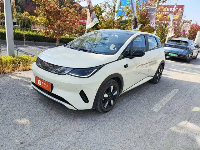 BYD Dolphin, 2025