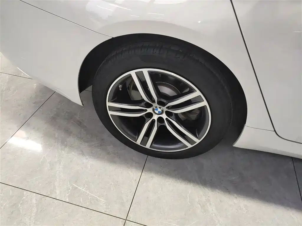 BMW 5 Series 2023 530Li Leading Luxury Package фото 26