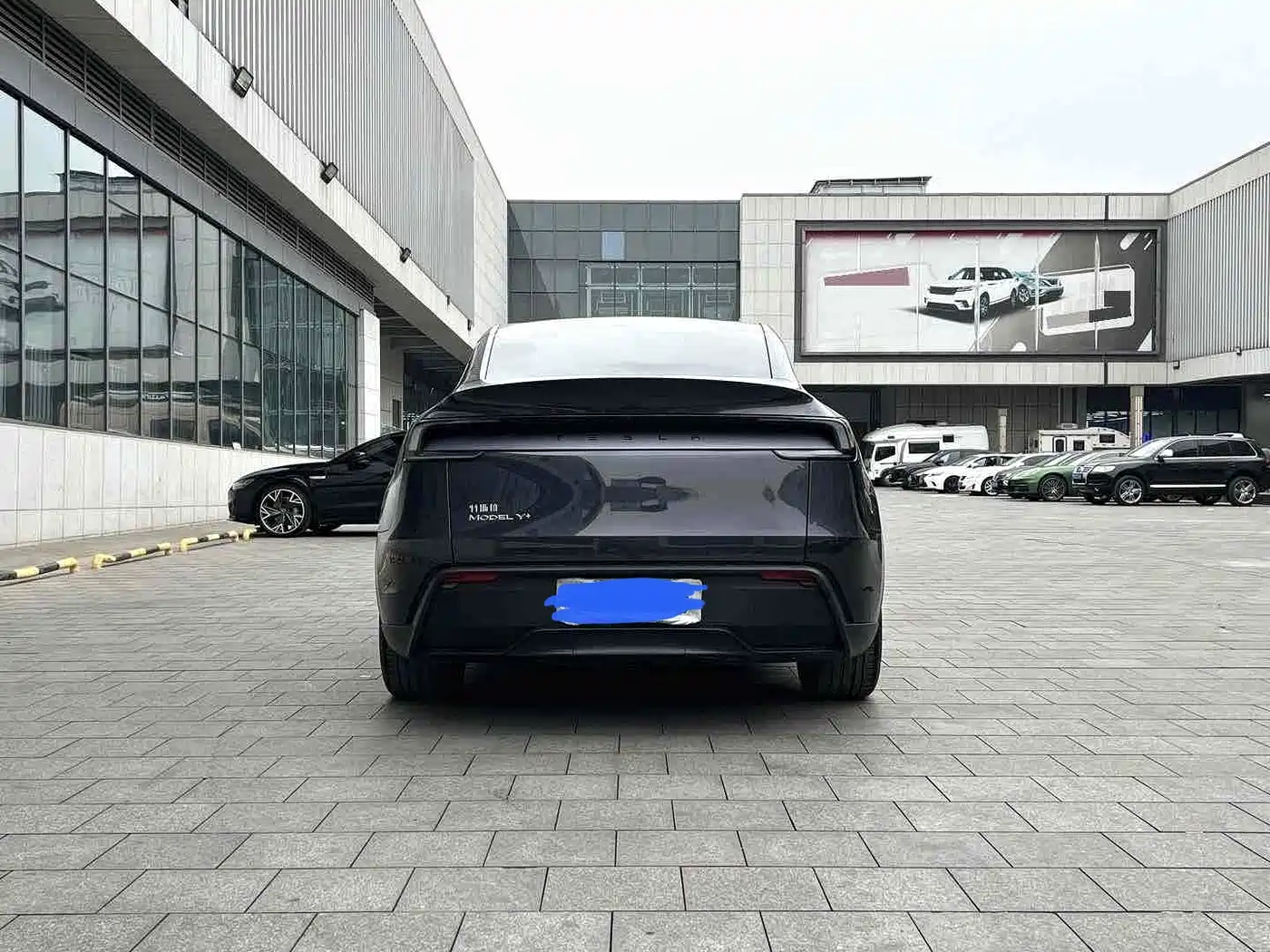 Tesla Model Y 2025 Model Long Range All-Wheel Drive Launch Edition фото 5
