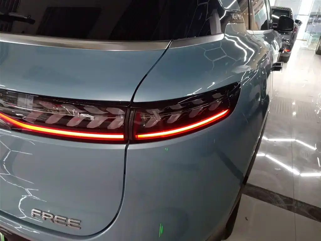 Voyah Auto VOYAH FREE 2021 AWD Standard Range Extender Exclusive Luxury Package фото 28