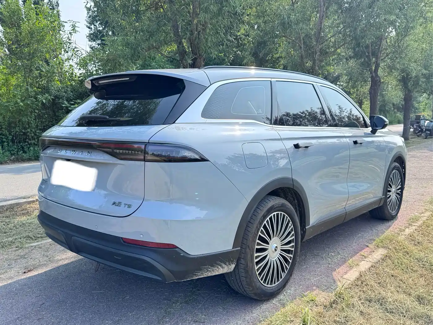 Chery Fengyun Fengyun T9 2025 2024 120 Long Range Luxury 5-seater LFP