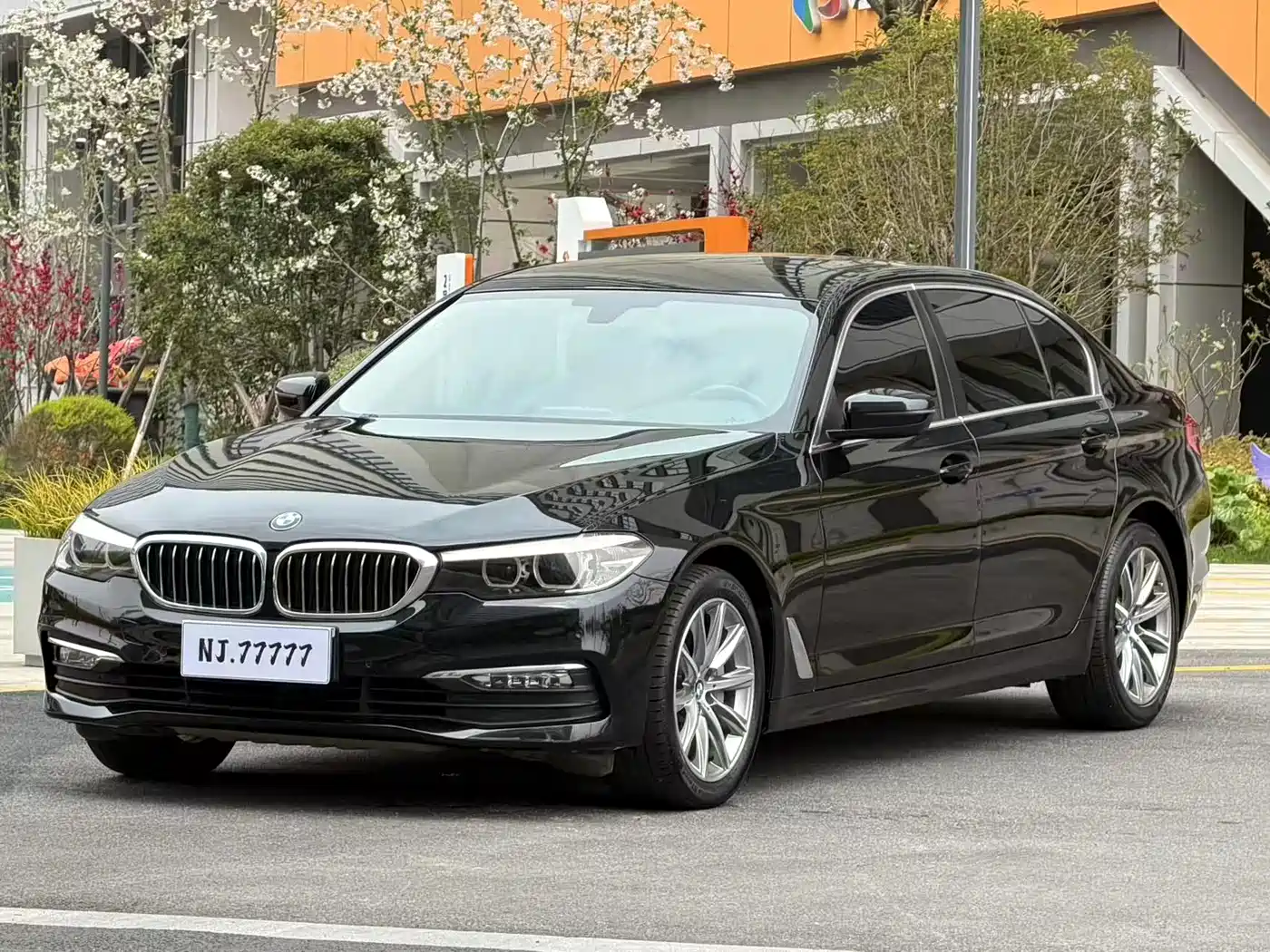 BMW 5 Series 2018 528Li Launch Special Edition