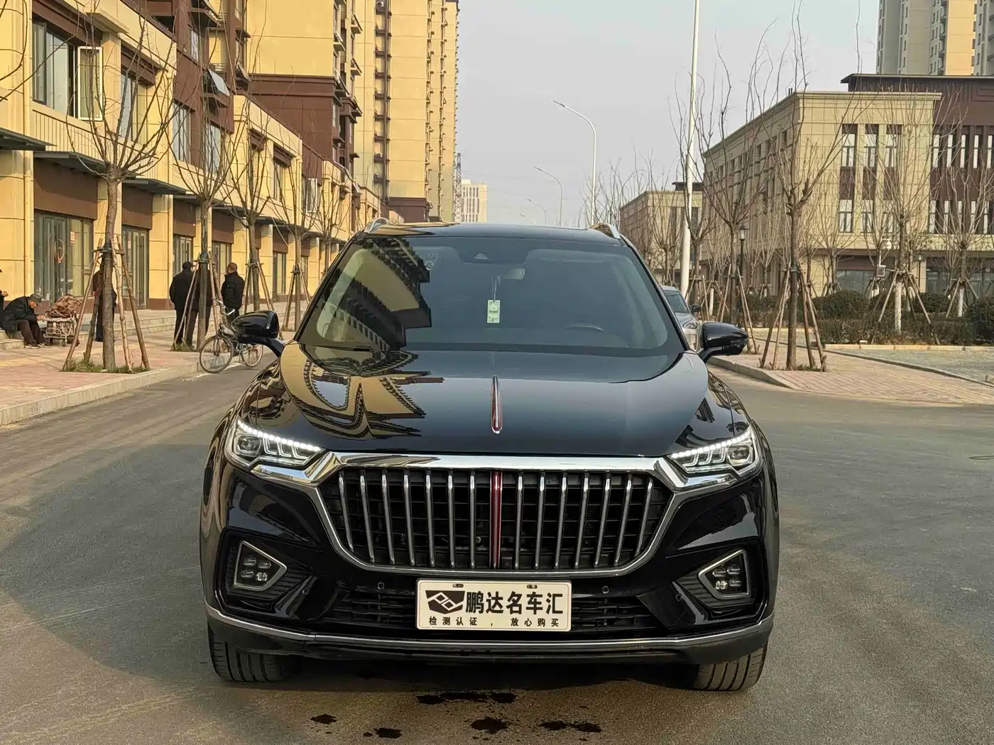 Hongqi HS5 2019 2.0T Smart Connect Enjoy 4WD Edition фото 2