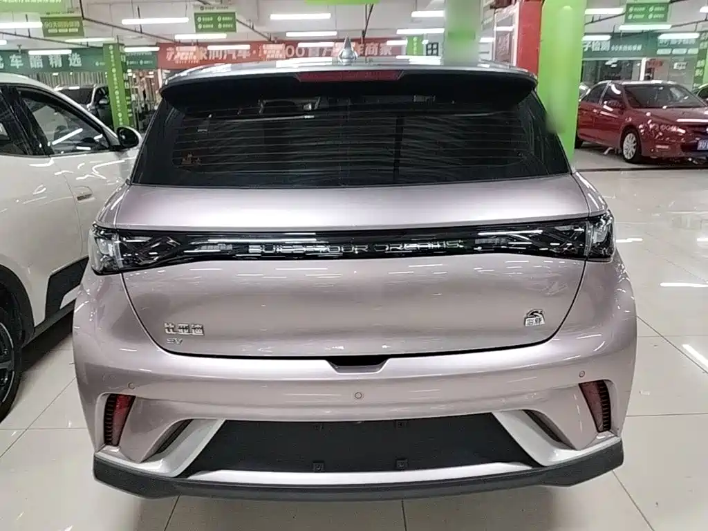 BYD Dolphin 2021 2021 401km Knight Edition