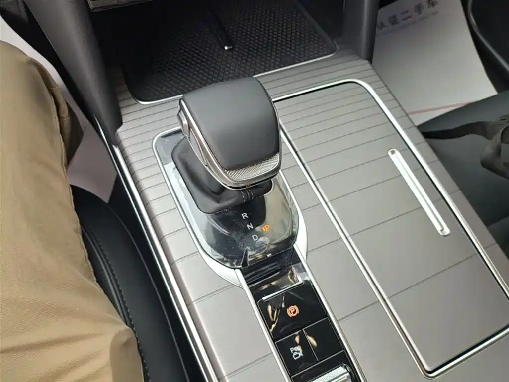 Hongqi HS7 PHEV 2024 2.0T PHEV AWD Qichang Edition 7-seater фото 14