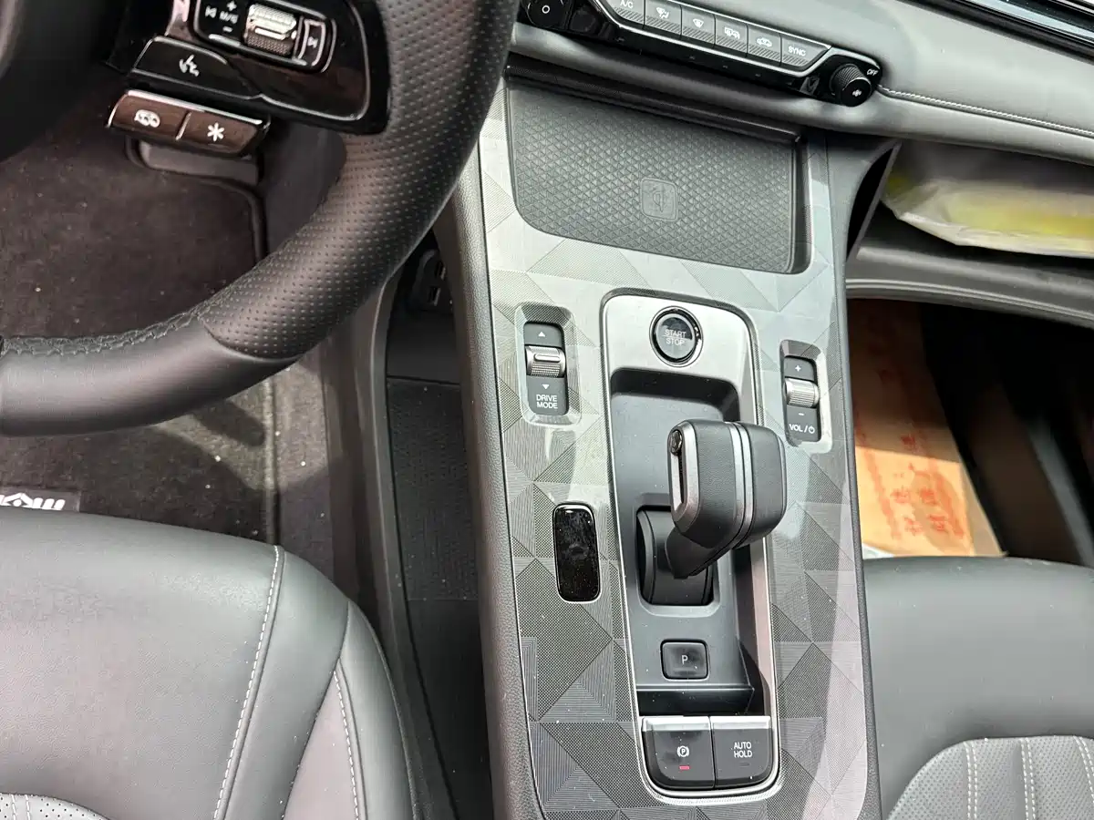 GAC Trumpchi Trumpchi Emkoo 2024 Model 270T DCT Shadow Leopard R-Style Edition фото 12