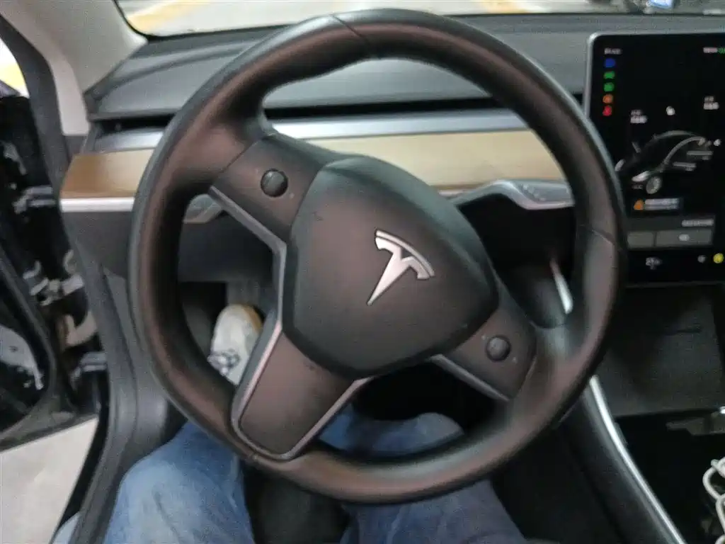 TESLA MODEL 3 (IMPORTED)
