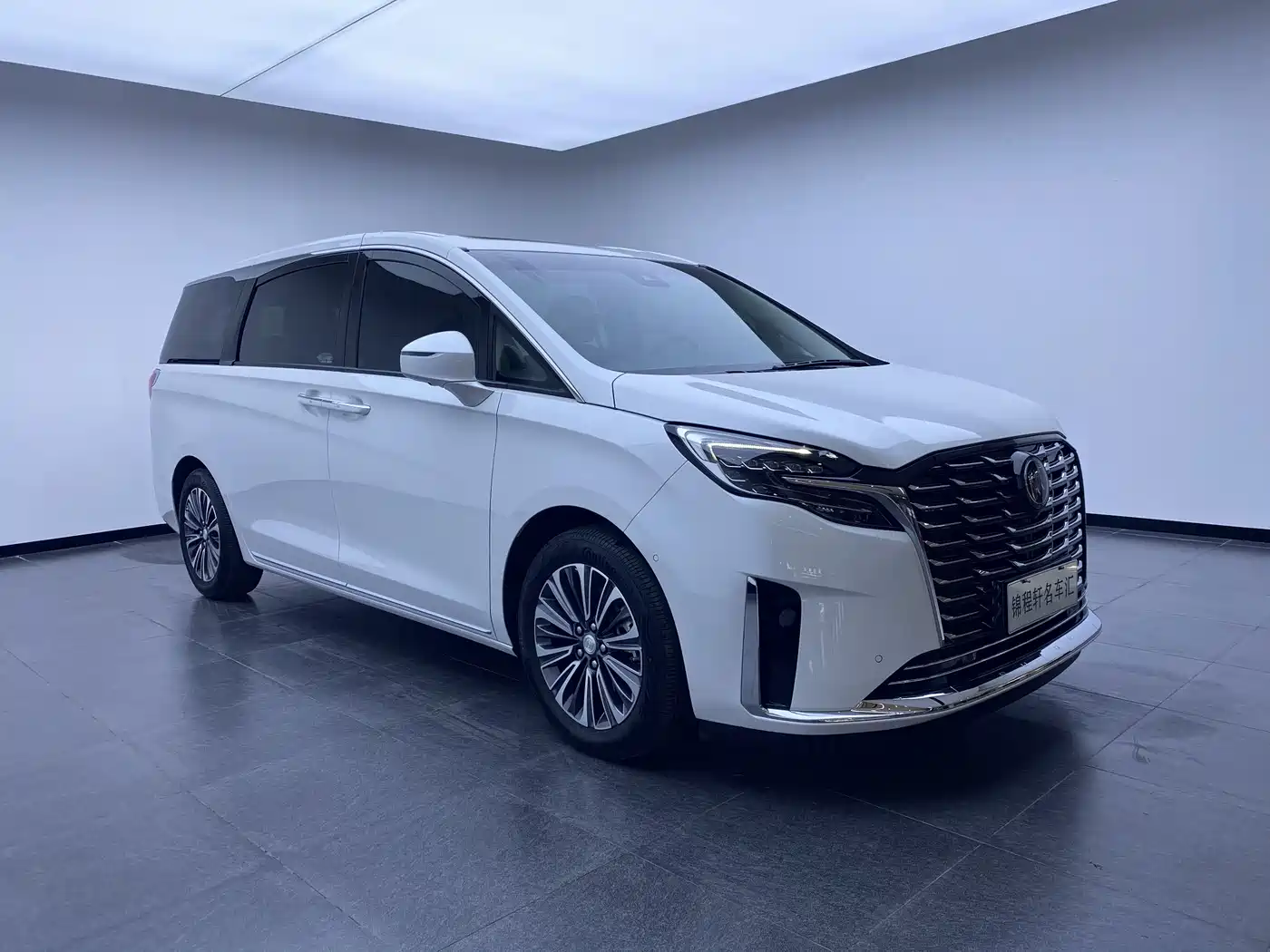 Buick GL8 2023 ES Landmaster Luxury фото 3