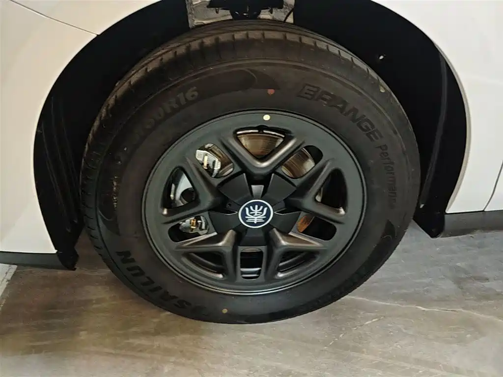 BYD Qin PLUS 2026 DM-i Smart Edition 128KM Progressive фото 23