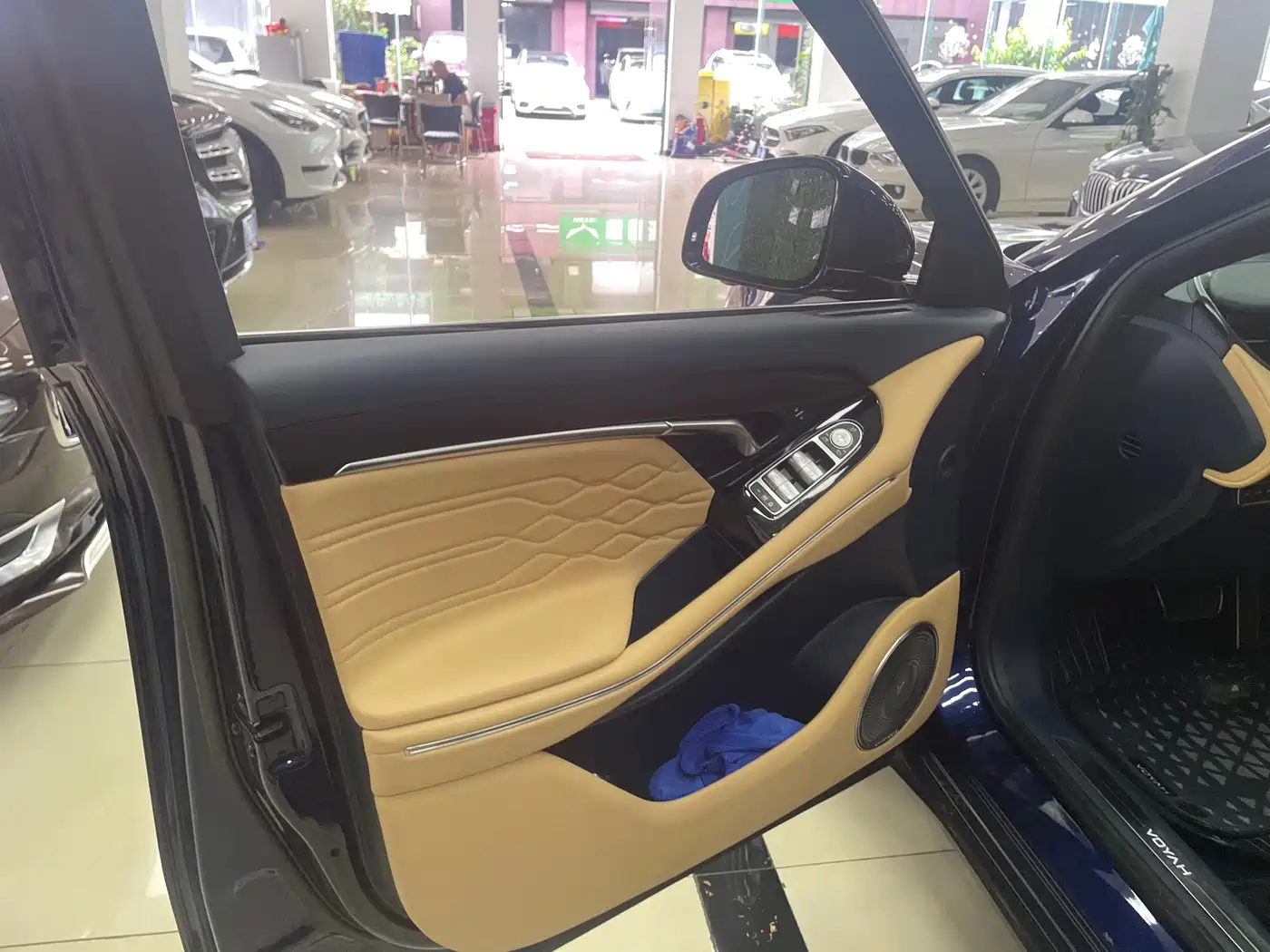 Voyah Auto VOYAH FREE 2021 AWD Standard Range Extender Exclusive Luxury Package фото 7