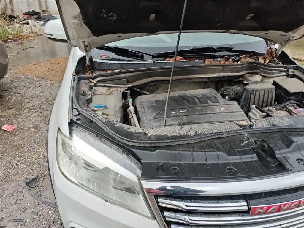 Haval H6 2017 Red Label Sport 1.5T Manual 2WD Elite фото 21