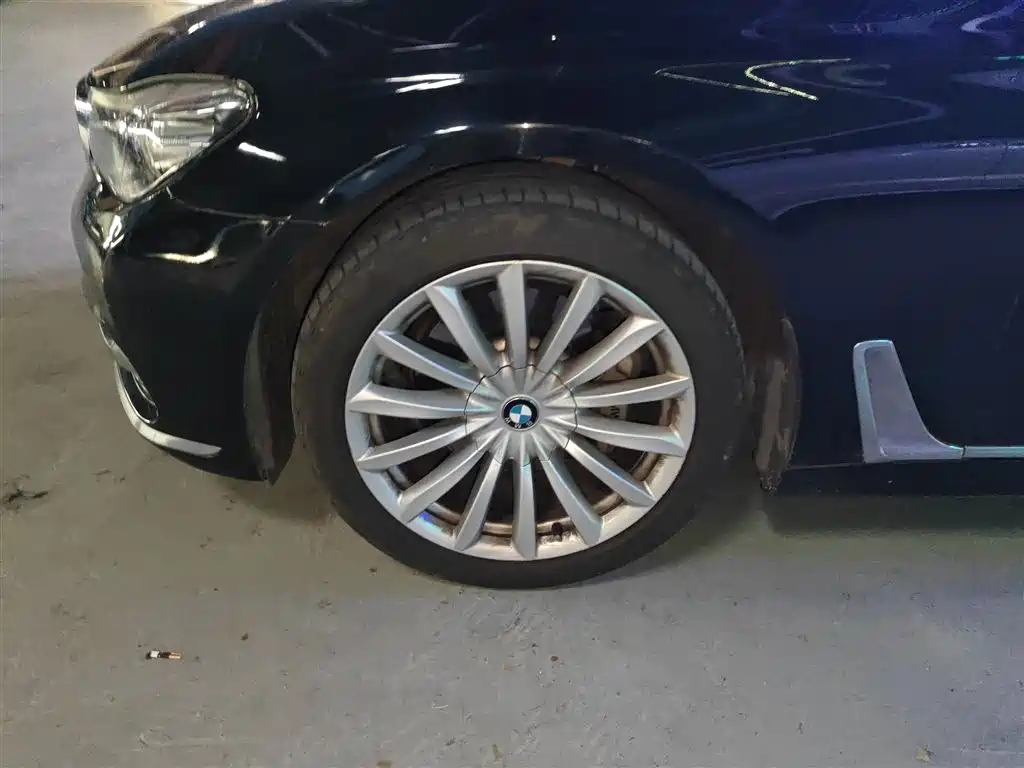 BMW 7 Series 2018 730Li Leading Type Excellence Package фото 26