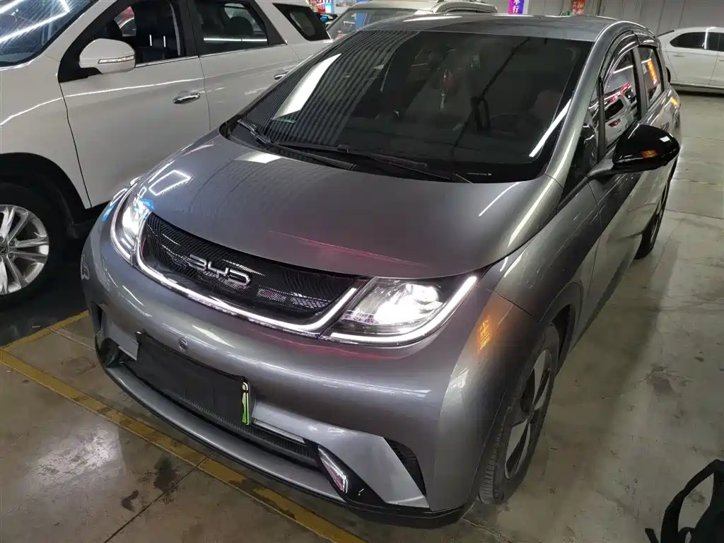 BYD Dolphin 2023 420km Freedom Edition
