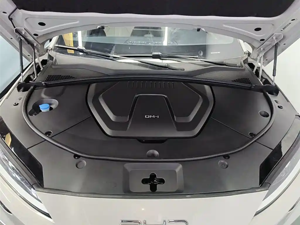 BYD Song PLUS PHEV 2023 Champion Edition DM-i 150KM Flagship PLUS фото 20