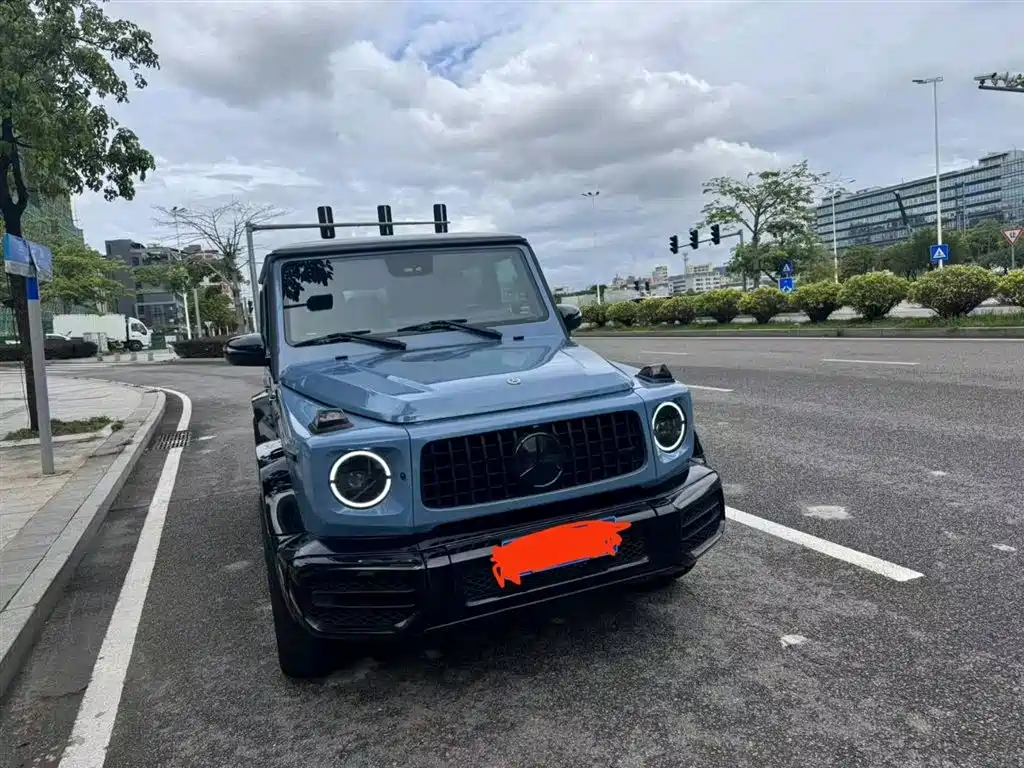 Mercedes-Benz G-Class 2011 2010 G 500