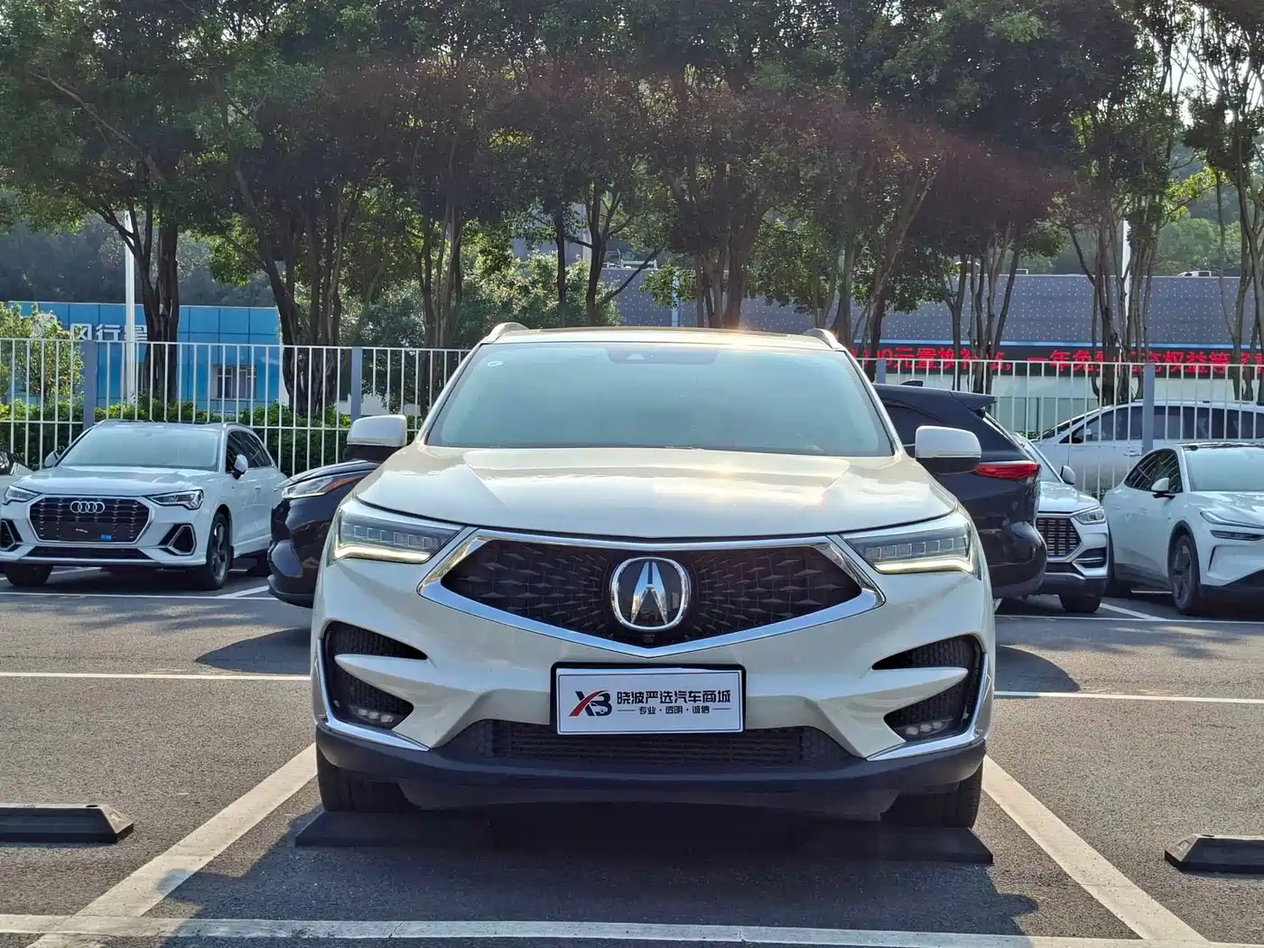 Acura RDX 2019 2019 2.0T Diamond Edition SH-AWD China V